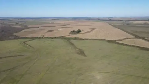 campo en venta de 500 Hectáreas agrícolas en San Salvador-Jubileo-Entre Ríos-santiago badaracco propiedades (41)