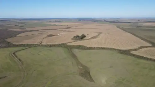 campo en venta de 500 Hectáreas agrícolas en San Salvador-Jubileo-Entre Ríos-santiago badaracco propiedades (42)