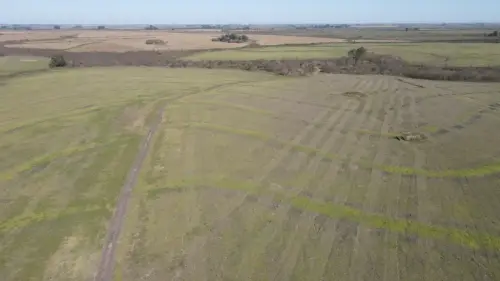 campo en venta de 500 Hectáreas agrícolas en San Salvador-Jubileo-Entre Ríos-santiago badaracco propiedades (5)