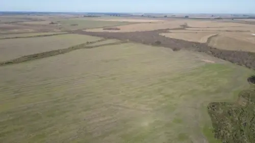 campo en venta de 500 Hectáreas agrícolas en San Salvador-Jubileo-Entre Ríos-santiago badaracco propiedades (7)