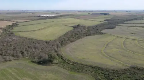 campo en venta de 500 Hectáreas agrícolas en San Salvador-Jubileo-Entre Ríos-santiago badaracco propiedades (9)