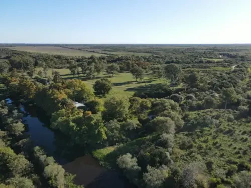 santiago badaracco propiedades - ibicuy - entre rios (1)