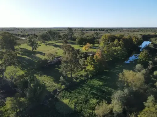 santiago badaracco propiedades - ibicuy - entre rios (10)