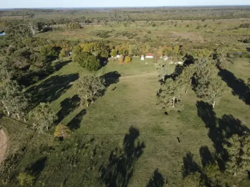 santiago badaracco propiedades - ibicuy - entre rios (13)