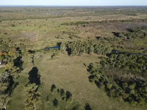 santiago badaracco propiedades - ibicuy - entre rios (4)