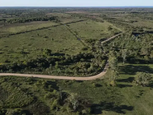 santiago badaracco propiedades - ibicuy - entre rios (9)